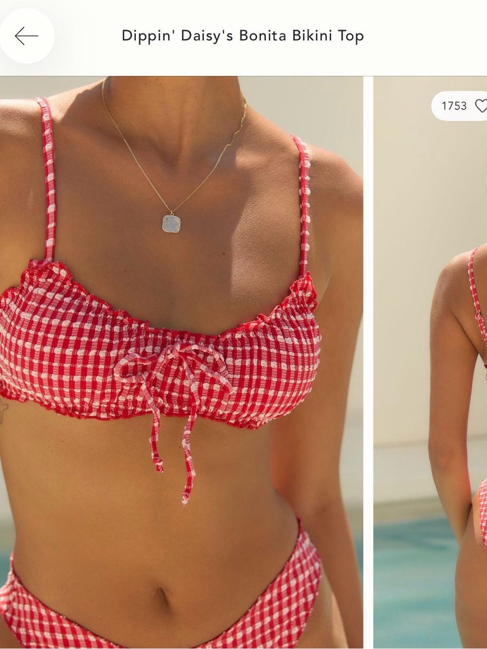 dippin daisy’s bikini